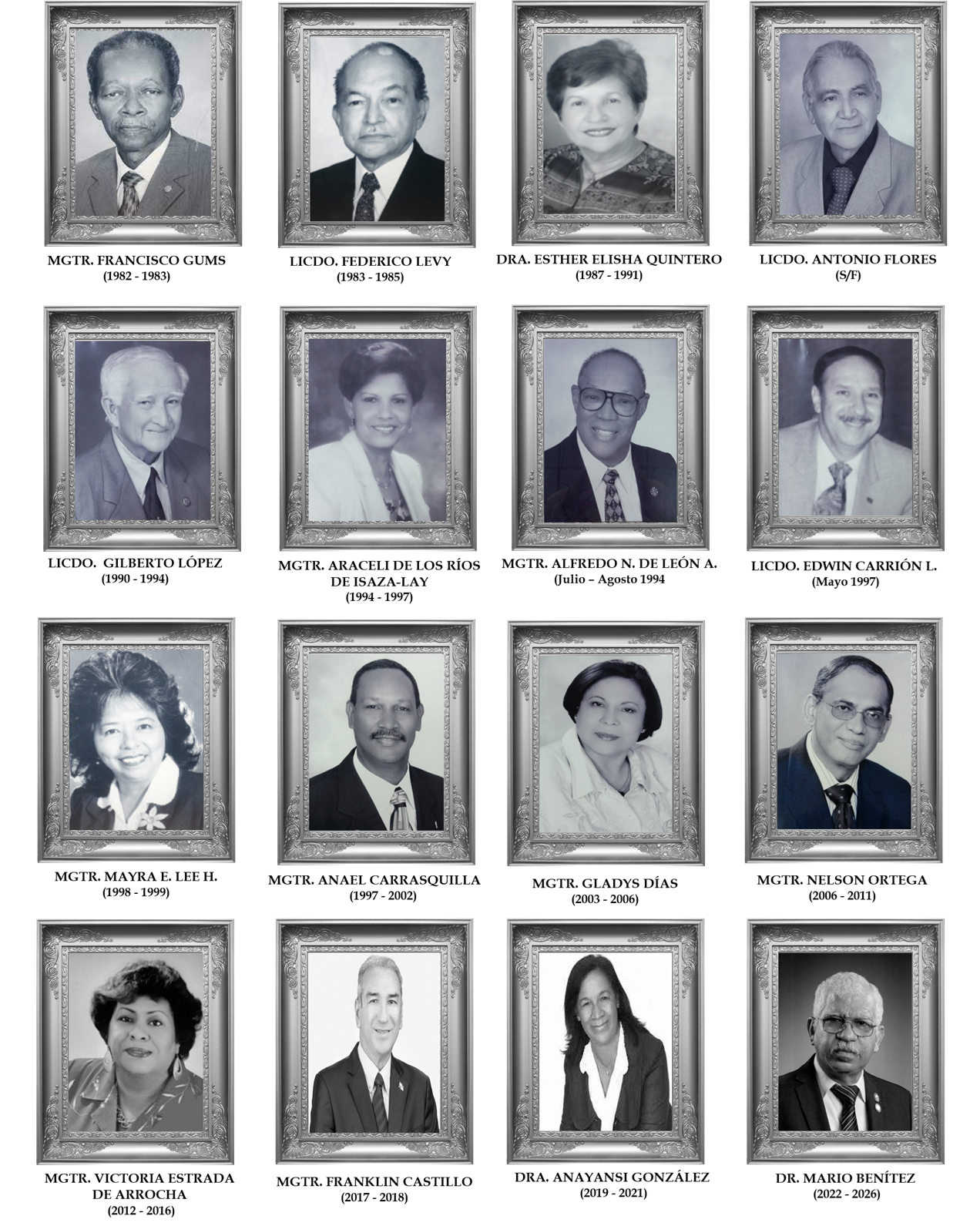 Vicedecanos